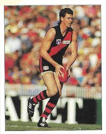 1994 Select AFL Stickers #74 Paul Salmon Front